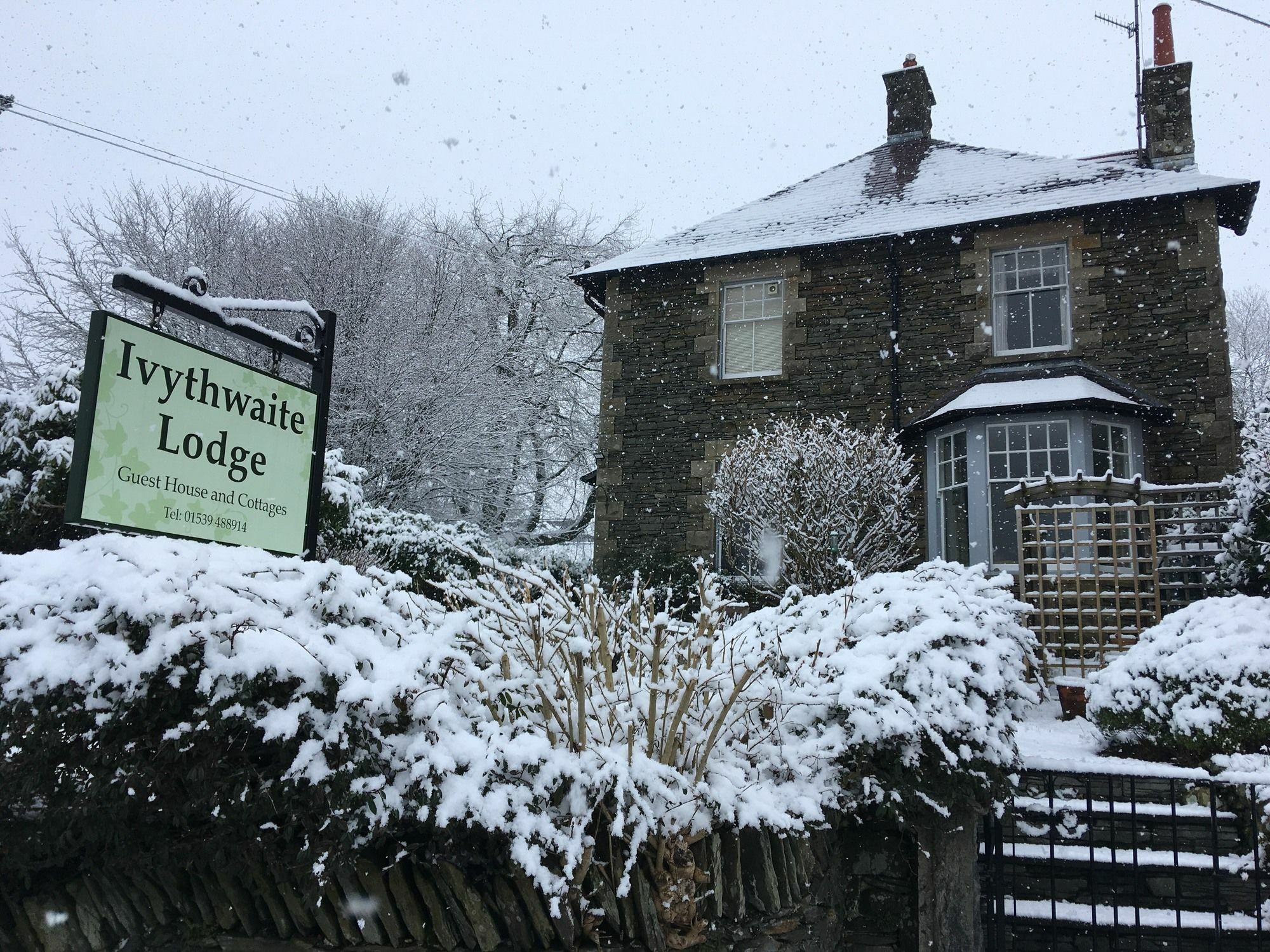 ווינדרמר Ivythwaite Lodge Guest House מראה חיצוני תמונה